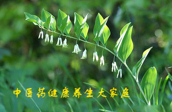 李时珍医药集团关亚松先生考察欧百易