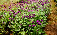 欧百易与北京绿普景源达成战略合作