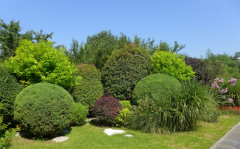 欧百易与北京孟祖苗圃达成战略合作